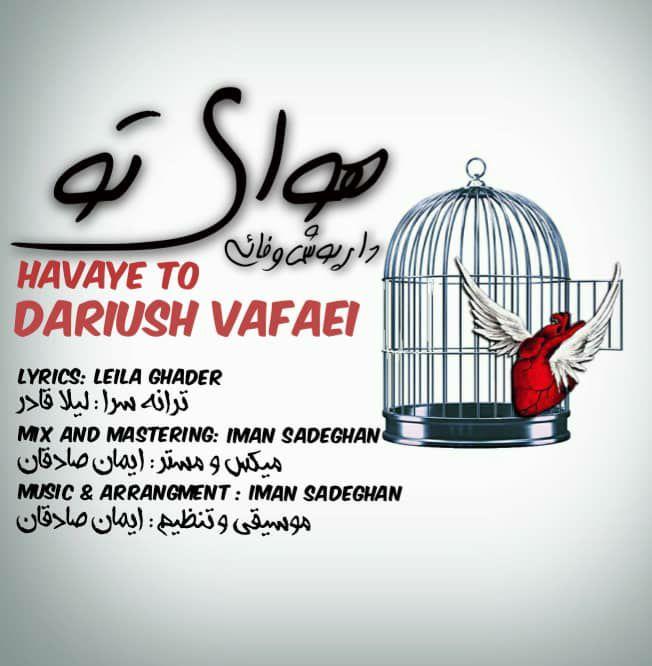 Daryoush Vafaei - Havaye To